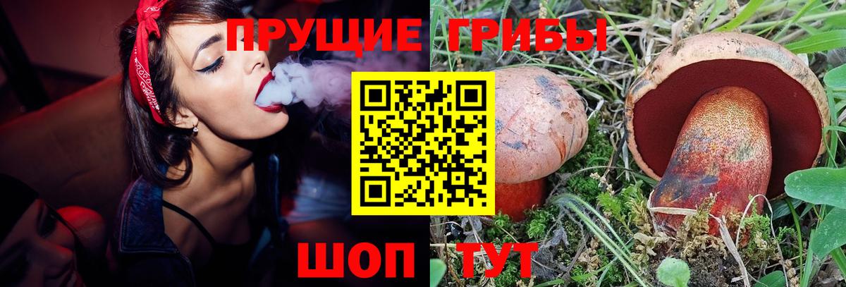 Псилоцибиновые грибы Magic Shrooms Мурманск
