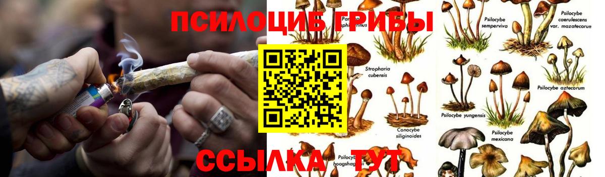 Галлюциногенные грибы прущие грибы  Вход с VPN  Мурманск 